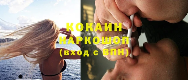 дмт Белокуриха