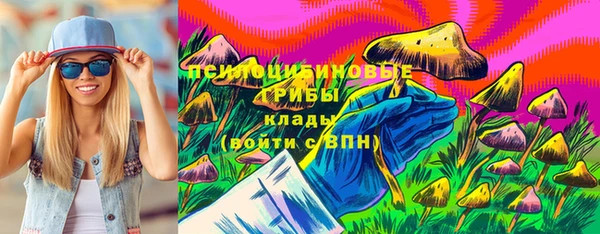 дживик Беломорск
