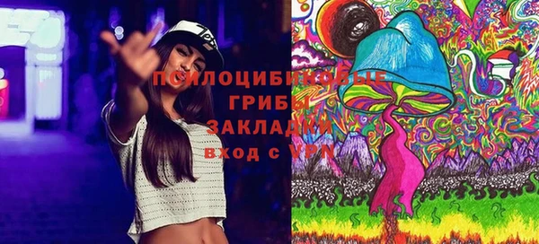 дживик Беломорск