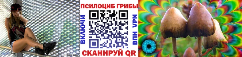 Галлюциногенные грибы GOLDEN TEACHER  MEGA как войти  Горячий Ключ 
