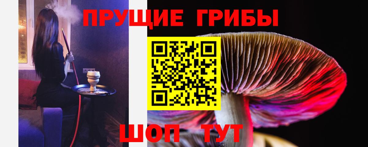 Псилоцибиновые грибы мицелий  Вход с VPN  Горячий Ключ  Псилоцибиновые грибы Cubensis 
